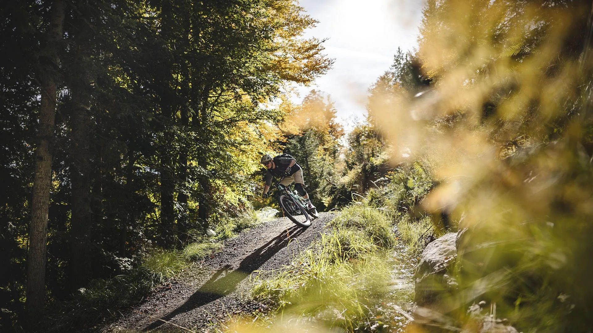 hd-Biken-in-der-Bike-Area-Fieberbrunn-im-Herbst-2Cklauslistl-freezingmotions(1)